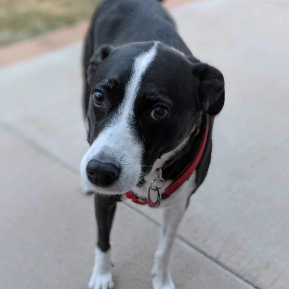 Meet the Posher Other - Meet your Posher, Emily